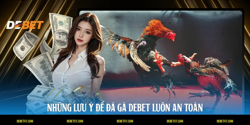 Những lưu ý để đá gà DEBET luôn an toàn